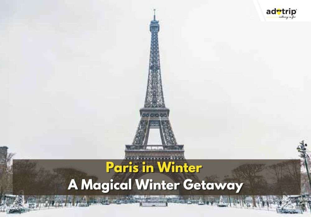 Paris In Winter